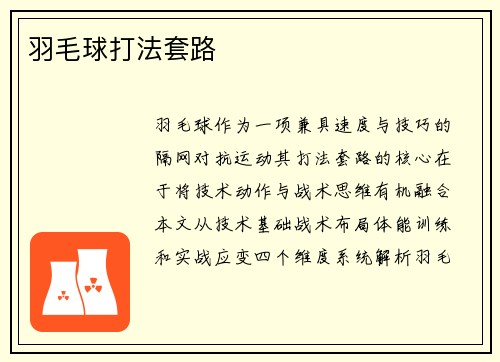 羽毛球打法套路